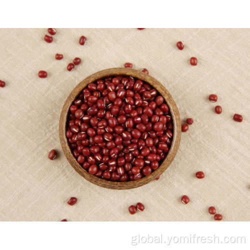 Red Bean Nutrition Healthy Beans With Fiber Factory